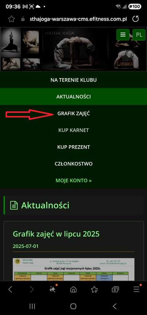 zapisy online grafik