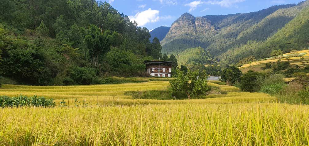 Bhutan1