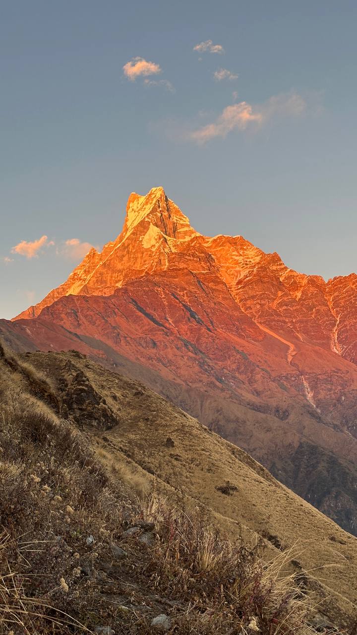 MardiHimal Fishtali