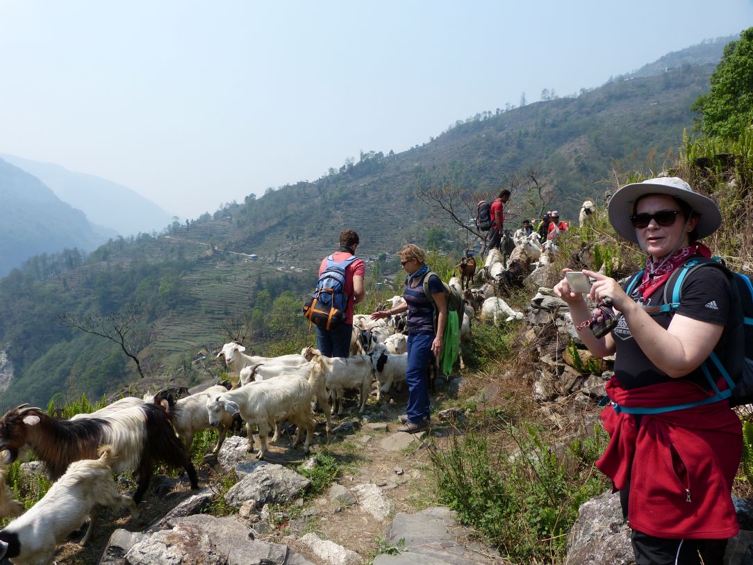 Nepal joga trek kozy